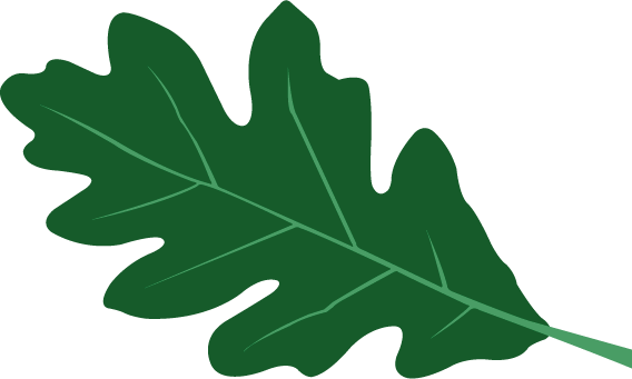 Blatt-Invers-gruen_2